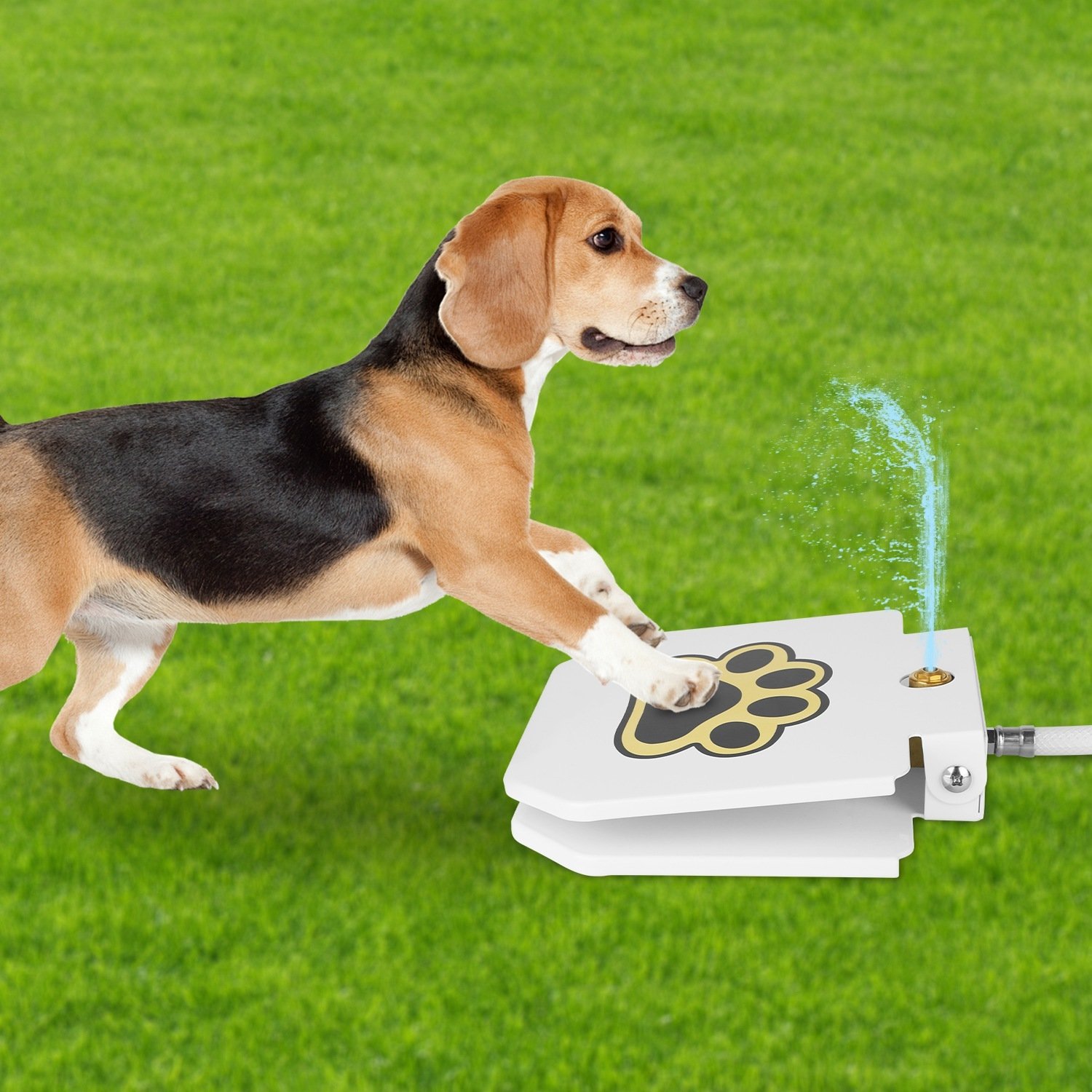1 Fontaine à eau pour chien (extérieur) – Distributeur d'eau activé par pression de la patte avec valve à pédale interactive - Image 10