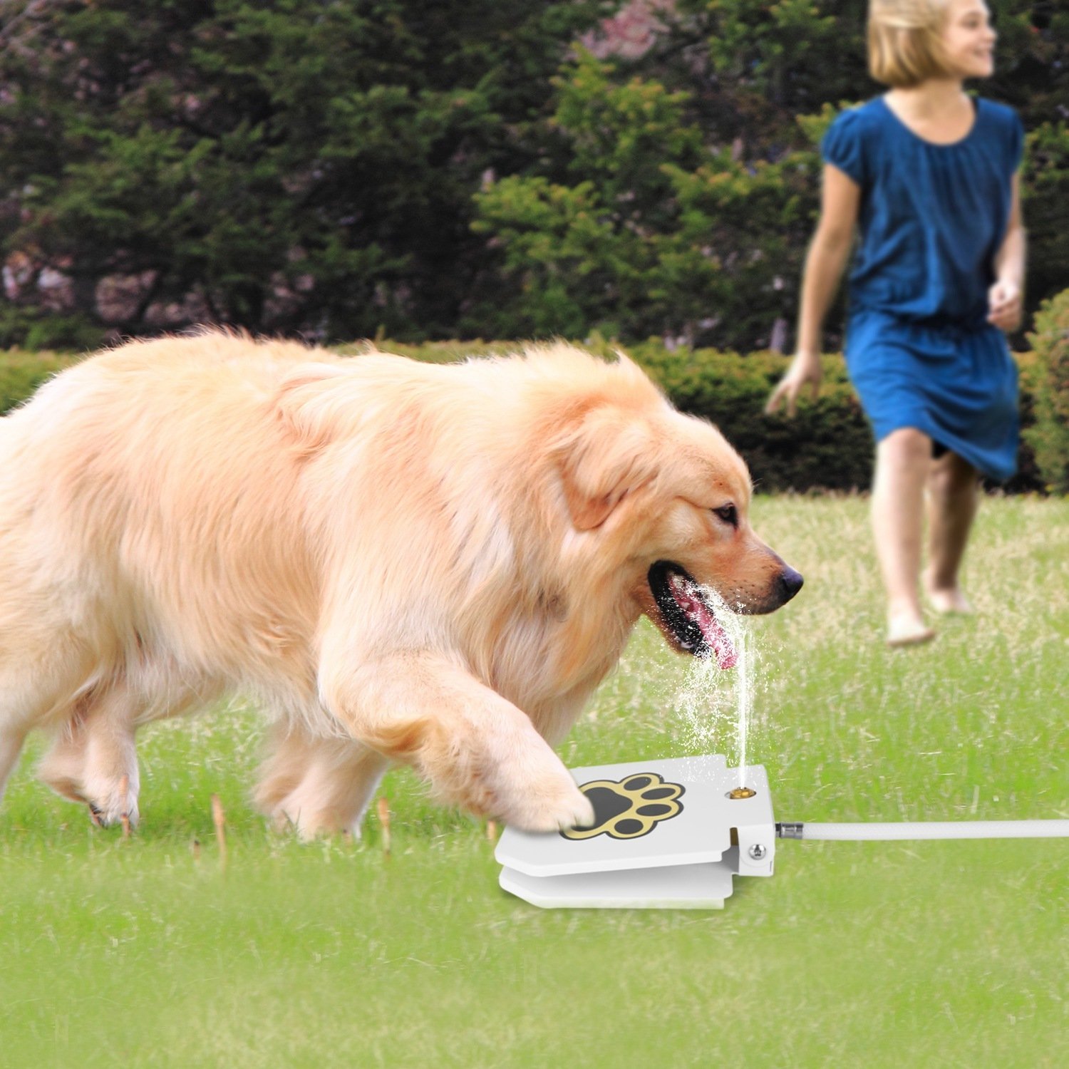 1 Fontaine à eau pour chien (extérieur) – Distributeur d'eau activé par pression de la patte avec valve à pédale interactive - Image 4