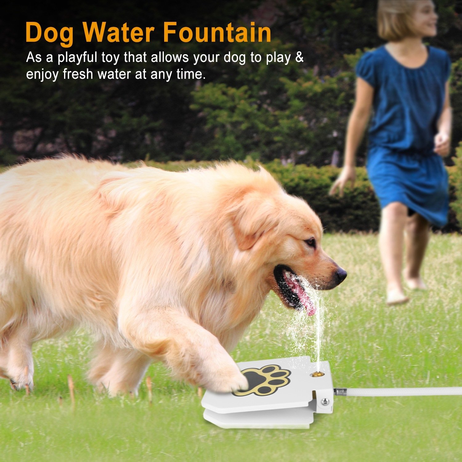 1 Fontaine à eau pour chien (extérieur) – Distributeur d'eau activé par pression de la patte avec valve à pédale interactive - Image 5