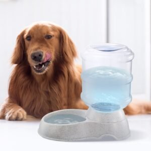 Distributeur d'eau pour animaux 3,5 L (1 gallon) – Abreuvoir automatique par gravité pour chiens et chats