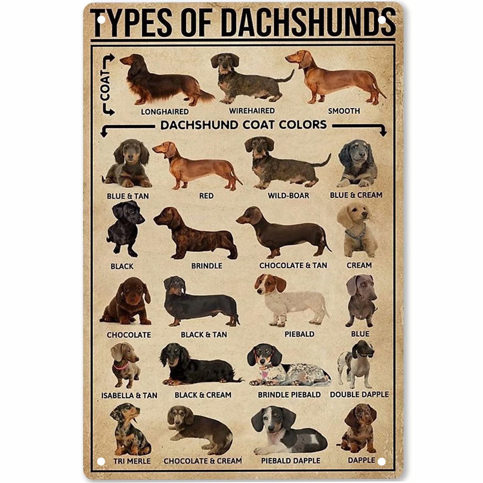 Décoration murale pour amoureux des animaux – Chien saucisse - Image 3