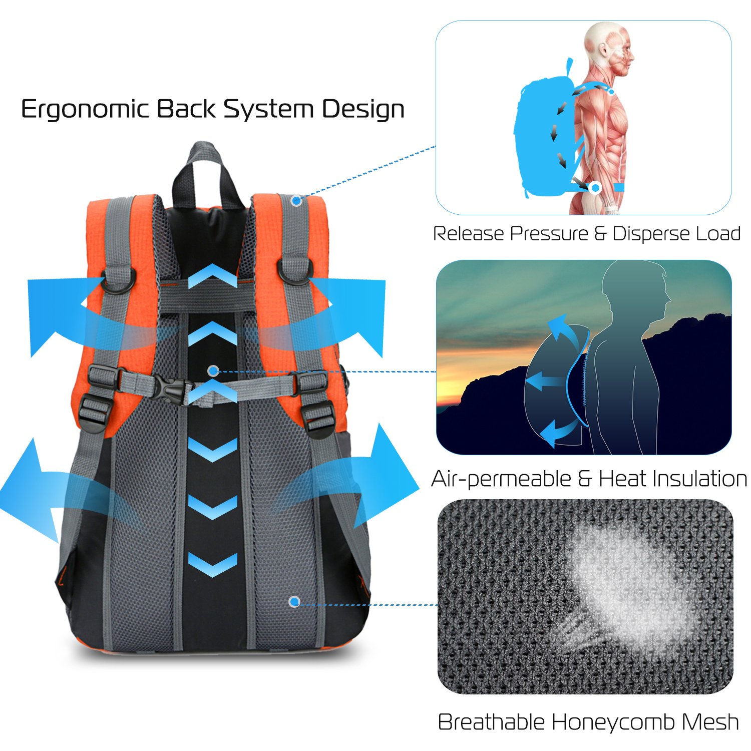 Sac à dos d'extérieur 36 L – Sac de jour imperméable pour la randonnée et le voyage - Image 8