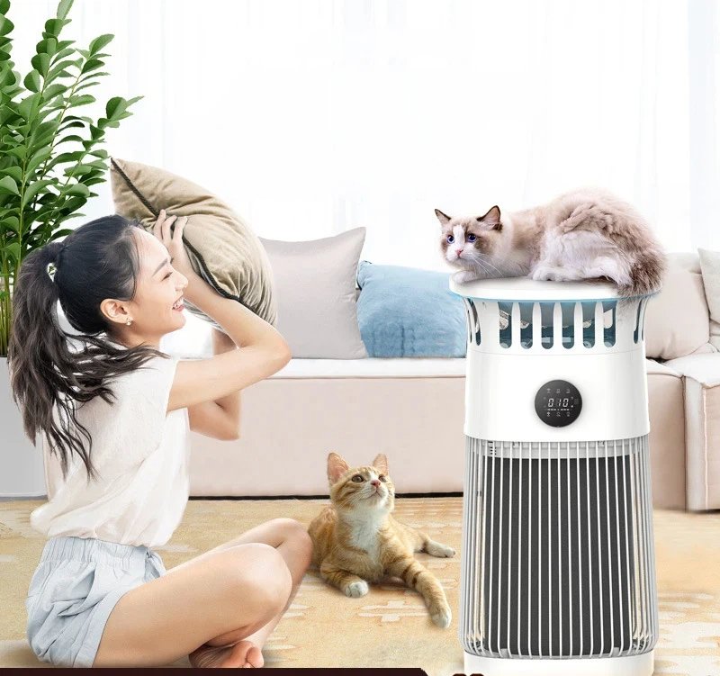 Les chats domestiques utilisent des purificateurs d'air pour aspirer les poils, éliminer les odeurs et les allergènes, stériliser et désinfecter. - Image 3