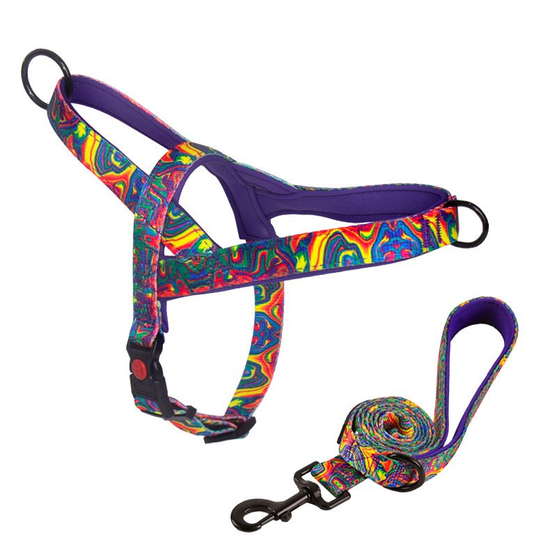 Harnais anti-traction pour chiens de races moyennes et grandes (Labrador, Golden Retriever), laisse et chaîne pour chien - Image 11