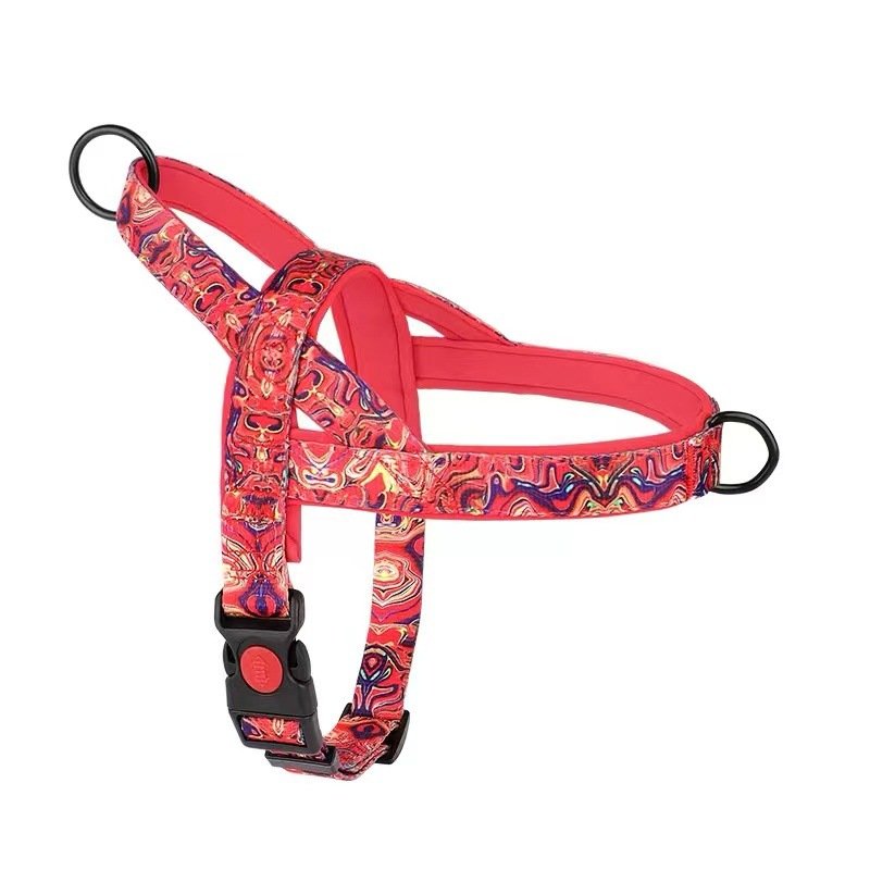 Harnais anti-traction pour chiens de races moyennes et grandes (Labrador, Golden Retriever), laisse et chaîne pour chien - Image 7