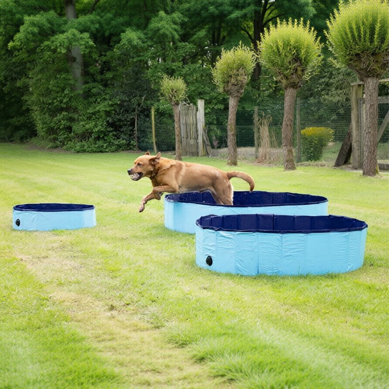 Piscine portable pour chiens – Baignoire pliable pour animaux avec bonde de vidange, piscine extérieure pour chiots pour s'amuser dans l'eau et se lav - Image 3