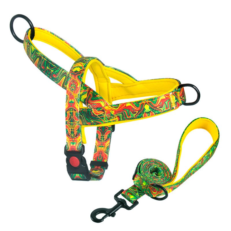 Harnais anti-traction pour chiens de races moyennes et grandes (Labrador, Golden Retriever), laisse et chaîne pour chien - Image 12