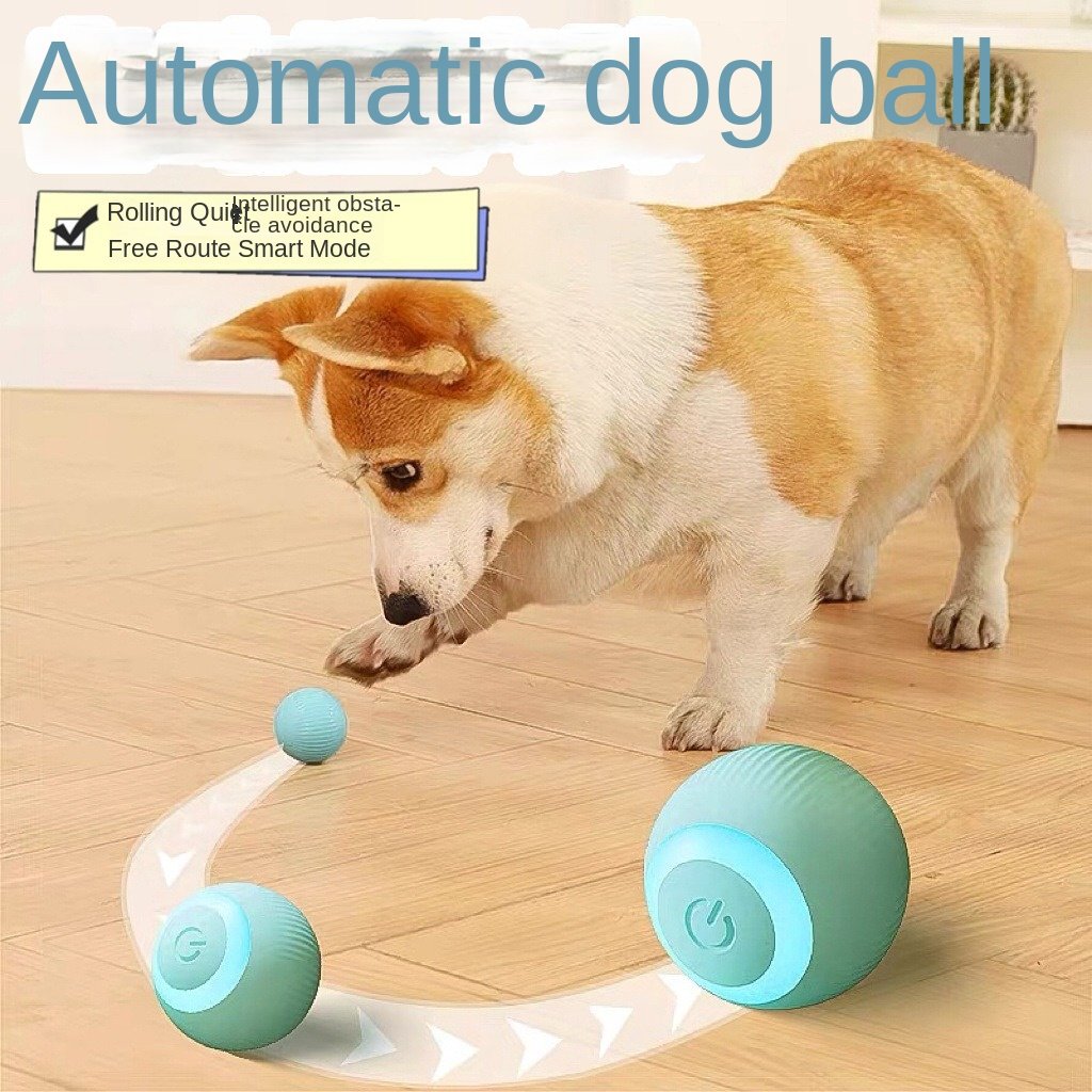 Balle à rouler intelligente pour chat, jouet anti-ennui et d'auto-divertissement, résistante aux morsures - Image 5