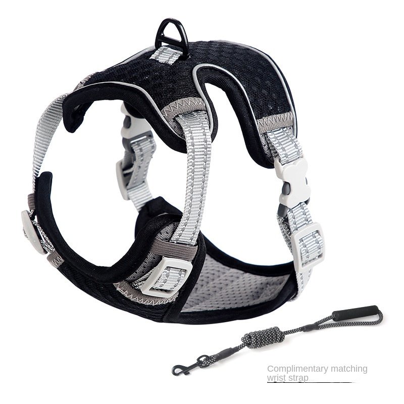 Harnais pour chat style gilet, laisse pour une utilisation en extérieur, corde de promenade anti-fugue pour chat. - Image 10