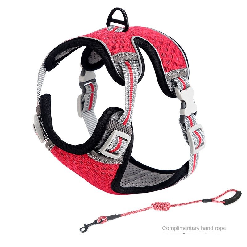 Harnais pour chat style gilet, laisse pour une utilisation en extérieur, corde de promenade anti-fugue pour chat. - Image 6