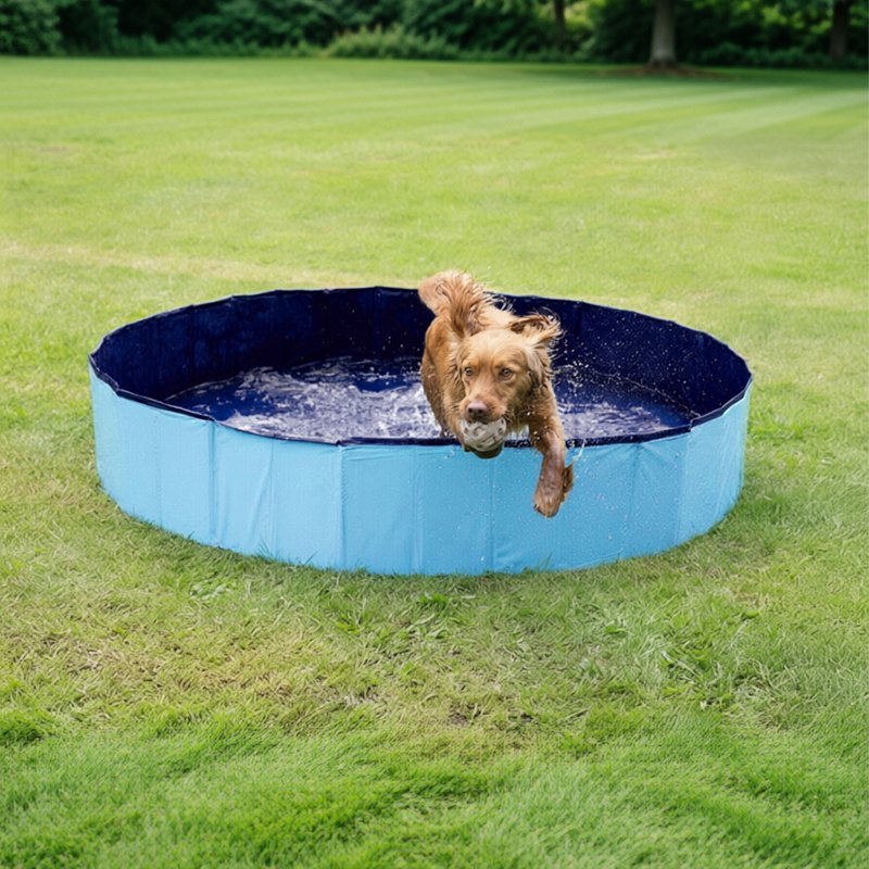 Piscine portable pour chiens – Baignoire pliable pour animaux avec bonde de vidange, piscine extérieure pour chiots pour s'amuser dans l'eau et se lav - Image 2