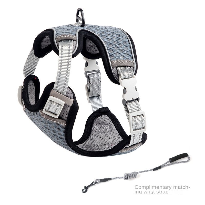 Harnais pour chat style gilet, laisse pour une utilisation en extérieur, corde de promenade anti-fugue pour chat. - Image 11