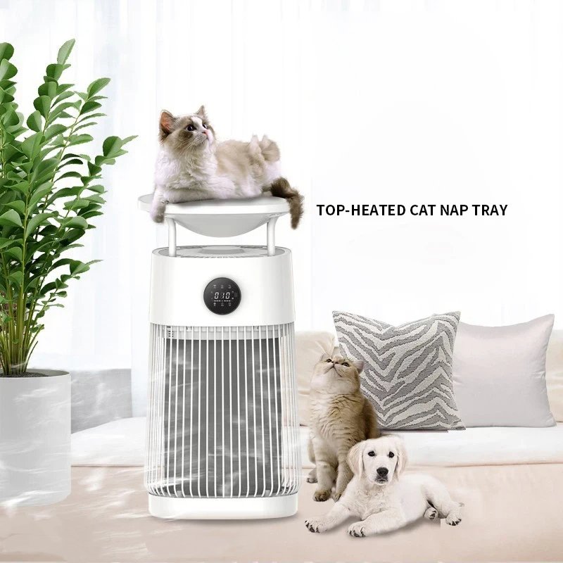 Les chats domestiques utilisent des purificateurs d'air pour aspirer les poils, éliminer les odeurs et les allergènes, stériliser et désinfecter. - Image 2