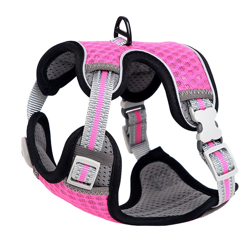 Harnais pour chat style gilet, laisse pour une utilisation en extérieur, corde de promenade anti-fugue pour chat. - Image 3