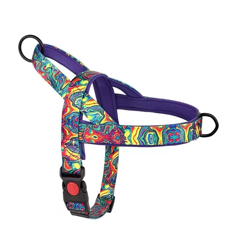 Harnais anti-traction pour chiens de races moyennes et grandes (Labrador, Golden Retriever), laisse et chaîne pour chien - Image 8