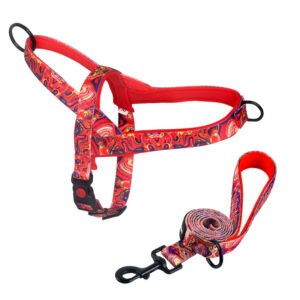 Harnais anti-traction pour chiens de races moyennes et grandes (Labrador, Golden Retriever), laisse et chaîne pour chien