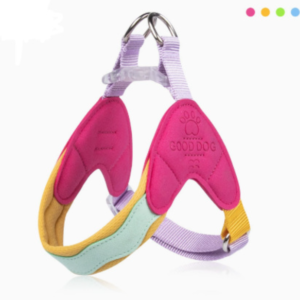 Harnais pour animaux de compagnie de style gilet coloré pour petits chiens et chats, laisse anti-fugue respirante