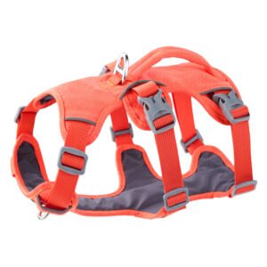 Harnais réfléchissant anti-fugue pour chien avec poignée de contrôle – Gilet rembourré en nylon pour l'entraînement, la promenade et la sécurité antiv