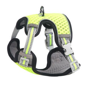 Harnais pour chat style gilet, laisse pour une utilisation en extérieur, corde de promenade anti-fugue pour chat.