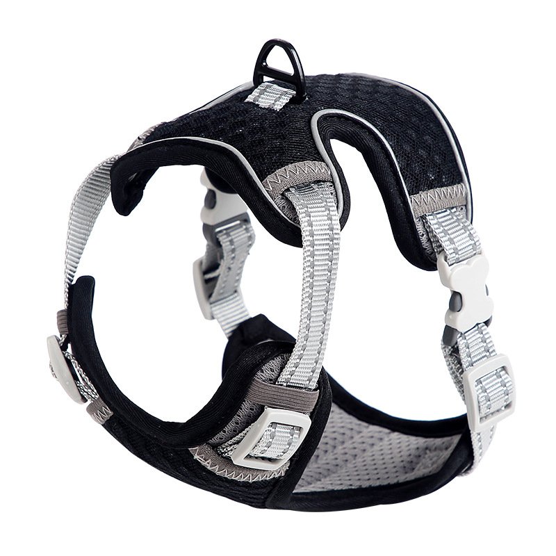 Harnais pour chat style gilet, laisse pour une utilisation en extérieur, corde de promenade anti-fugue pour chat. - Image 4