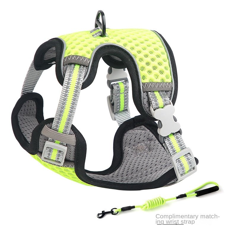 Harnais pour chat style gilet, laisse pour une utilisation en extérieur, corde de promenade anti-fugue pour chat. - Image 8