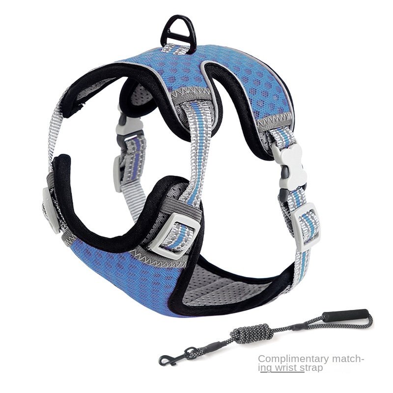 Harnais pour chat style gilet, laisse pour une utilisation en extérieur, corde de promenade anti-fugue pour chat. - Image 7