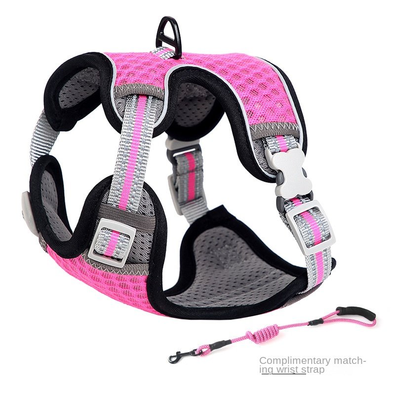 Harnais pour chat style gilet, laisse pour une utilisation en extérieur, corde de promenade anti-fugue pour chat. - Image 9